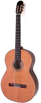niibori contra or contrabass guitar