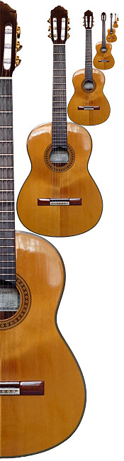 Guitar Ensemble - Derek Hasted