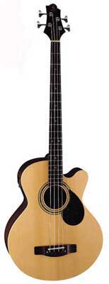 acoustic bass guitar