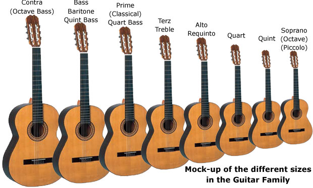 Montage of the guitar family